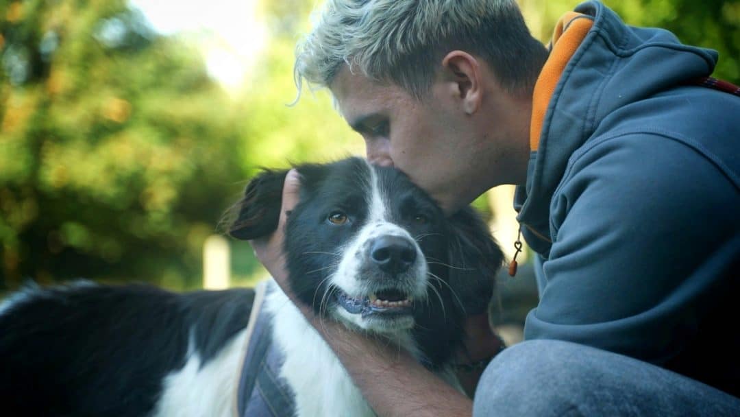 Quels sont les avis sur la Société Protectrice des Animaux de geneve
