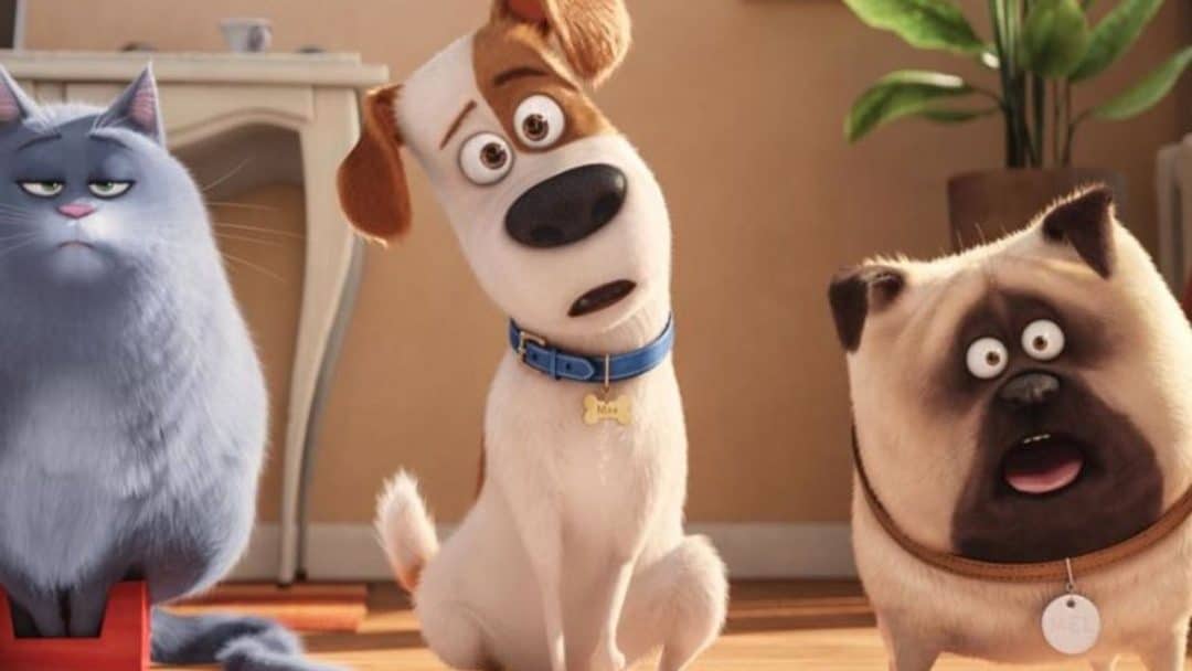 dessins animes avec chien netlix