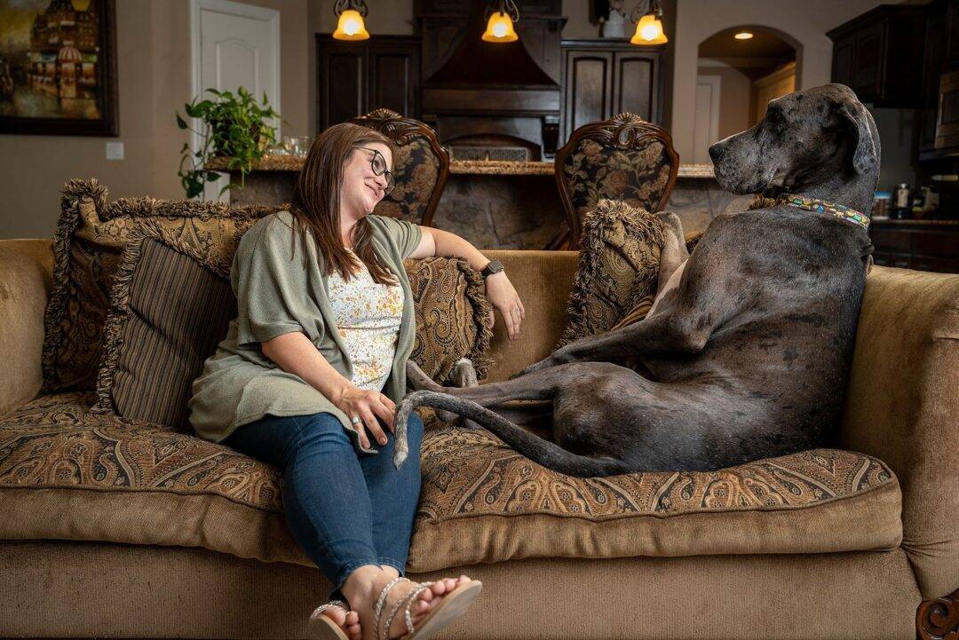 quel est le plus gros chien du monde