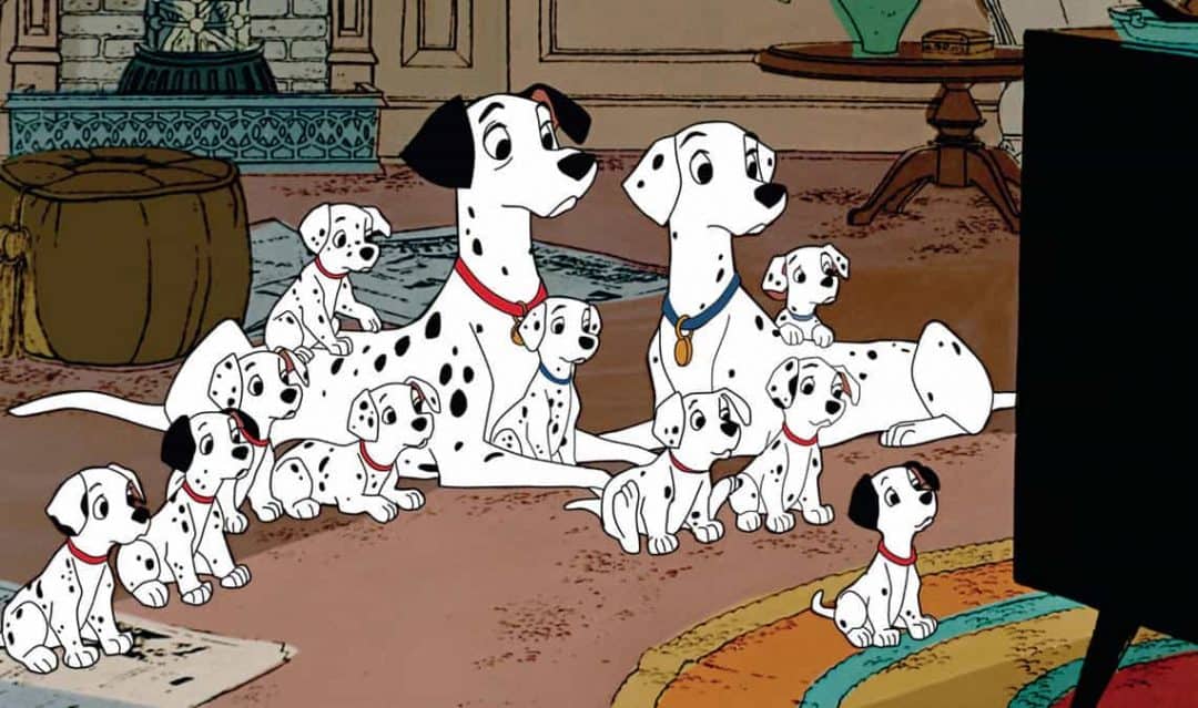 top 10 des dessins animés avec chiens à voir en famille