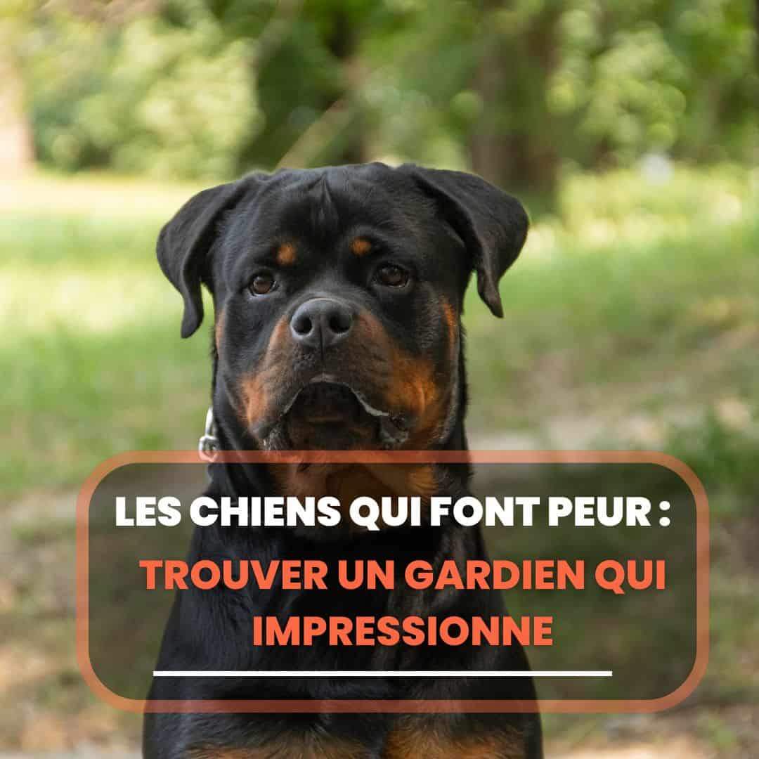 chien qui fait peur