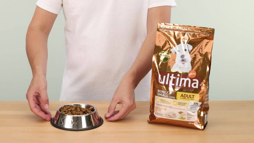 avis croquette ultima