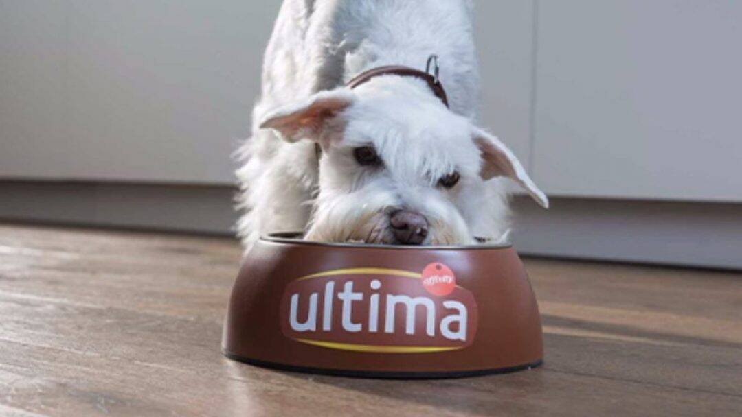 avis croquette ultima junior