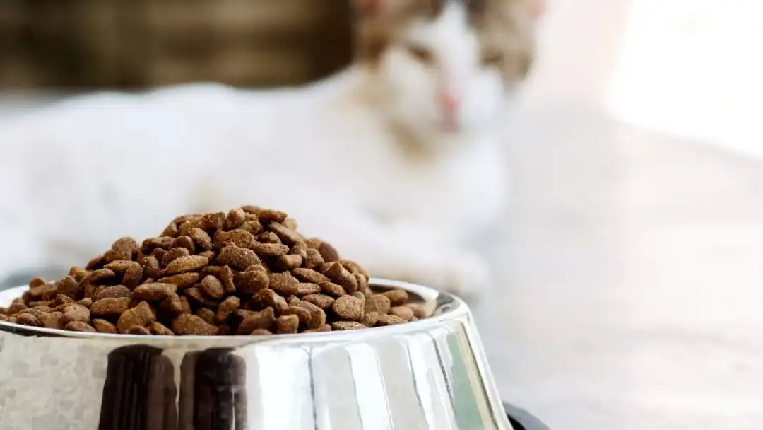 croquettes coshida lidl avis