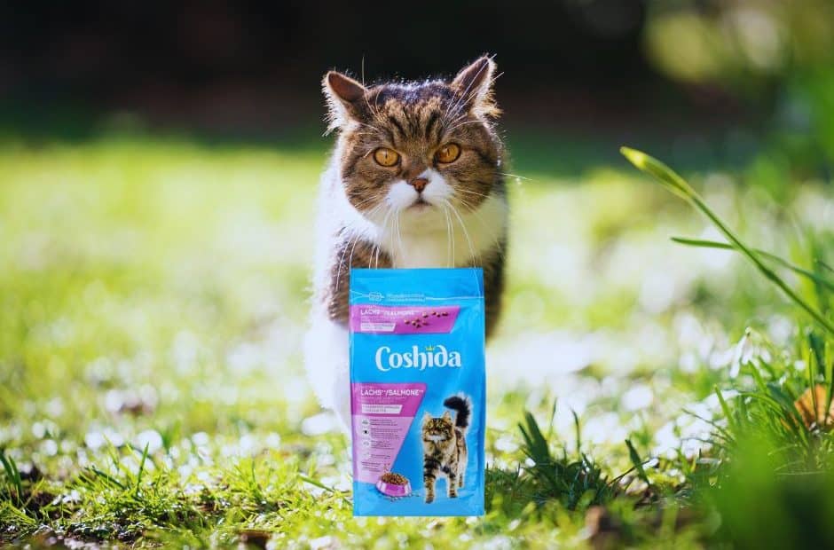 croquettes coshida lidl prix