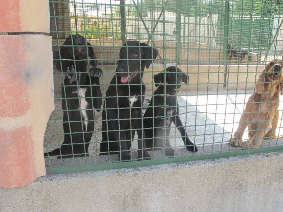 spa ardèche lavilledieu