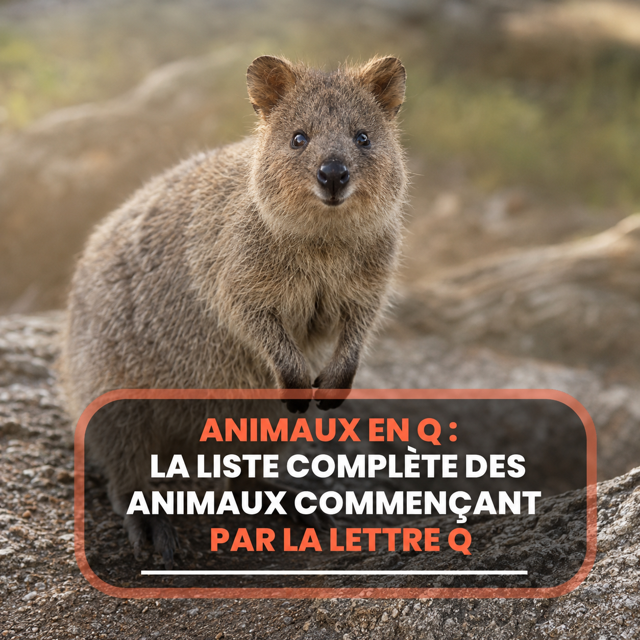 animaux en q